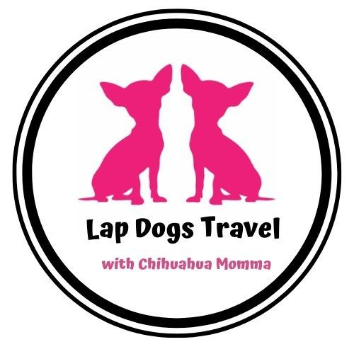 LAP DOGS TRAVEL with Chihuahua Momma